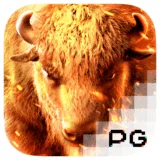 Bocoran RTP Slot PG Soft Buffalo Win